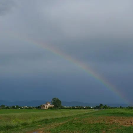 Holiday home La Leopoldina Dei Fabbri Cortona