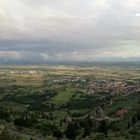 La Leopoldina Dei Fabbri *